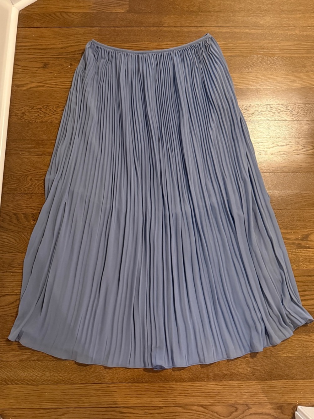 Pleated sheer long skirt